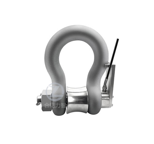 LZ-XK1卸扣式軸銷傳感器(圖1)